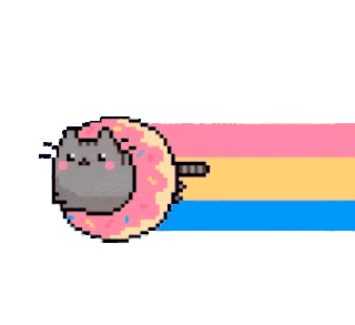 gatinho
