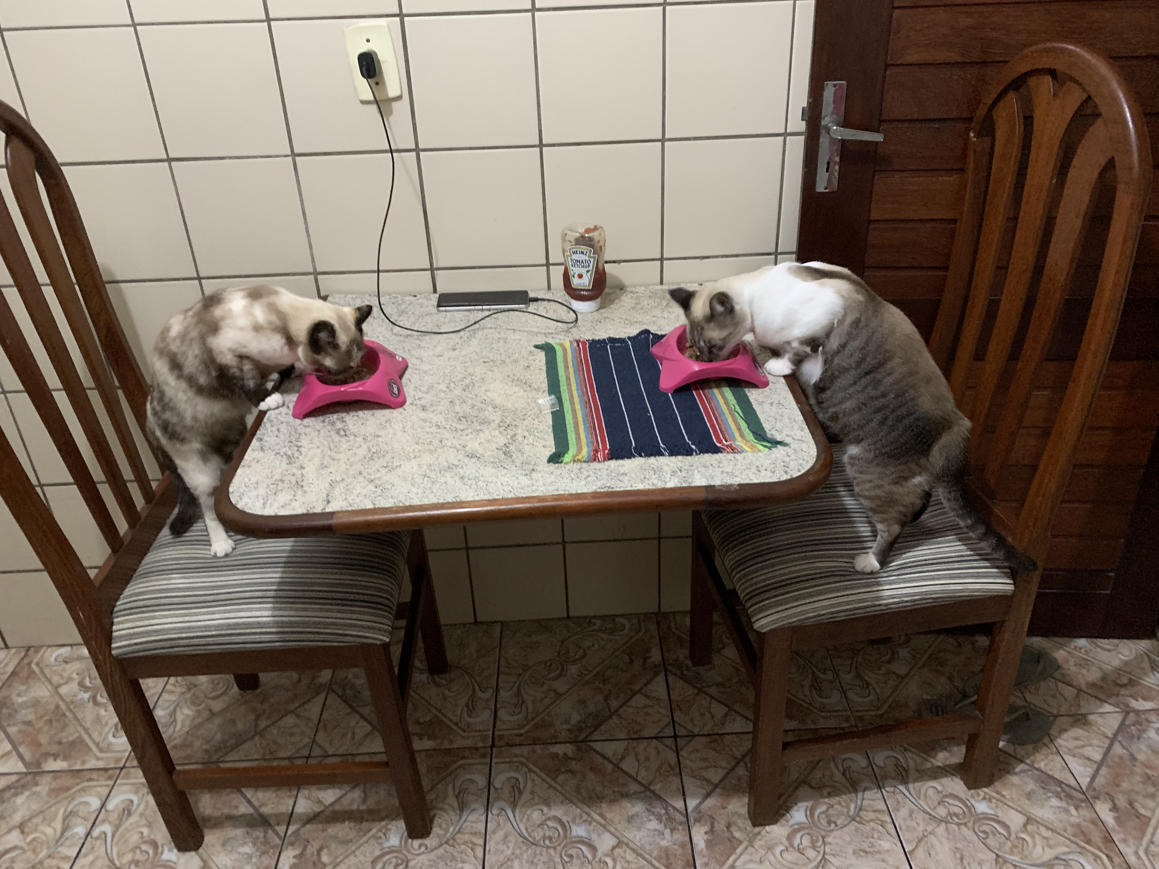 jantando na mesa
