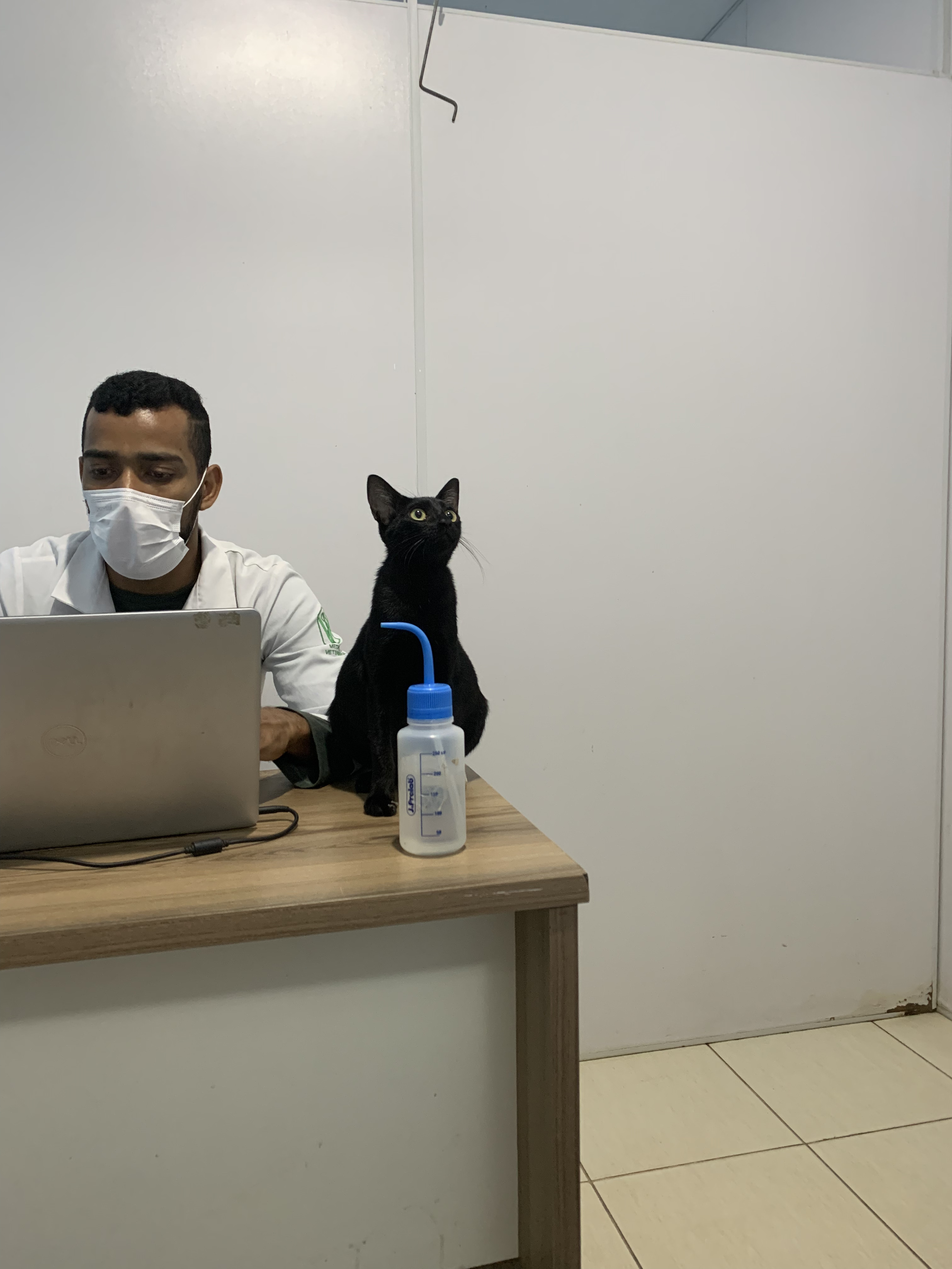 pespino no medico